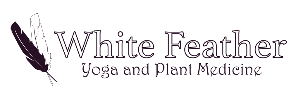 White Feather Yoga & Plant Medicine