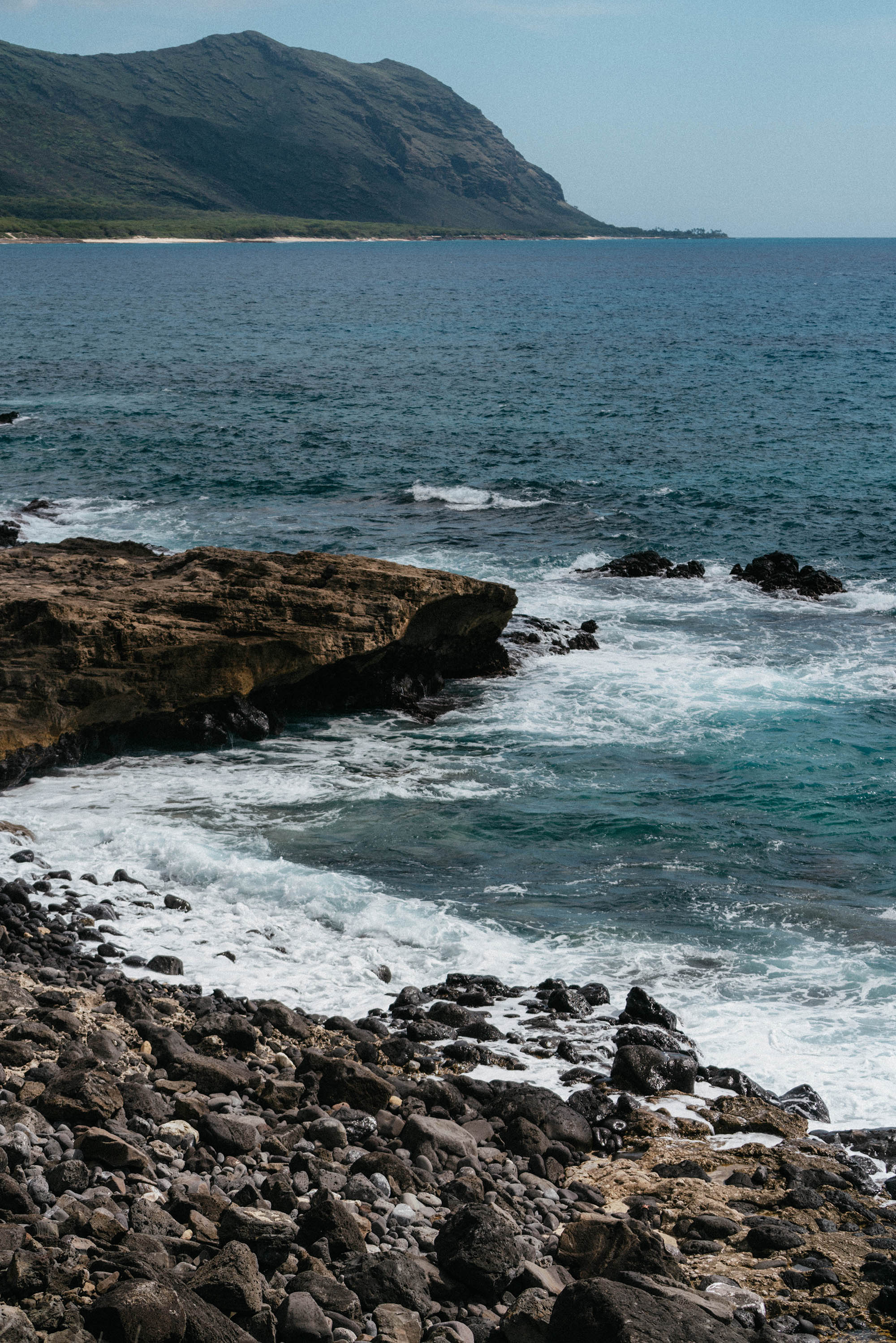 _DSC3656.jpg