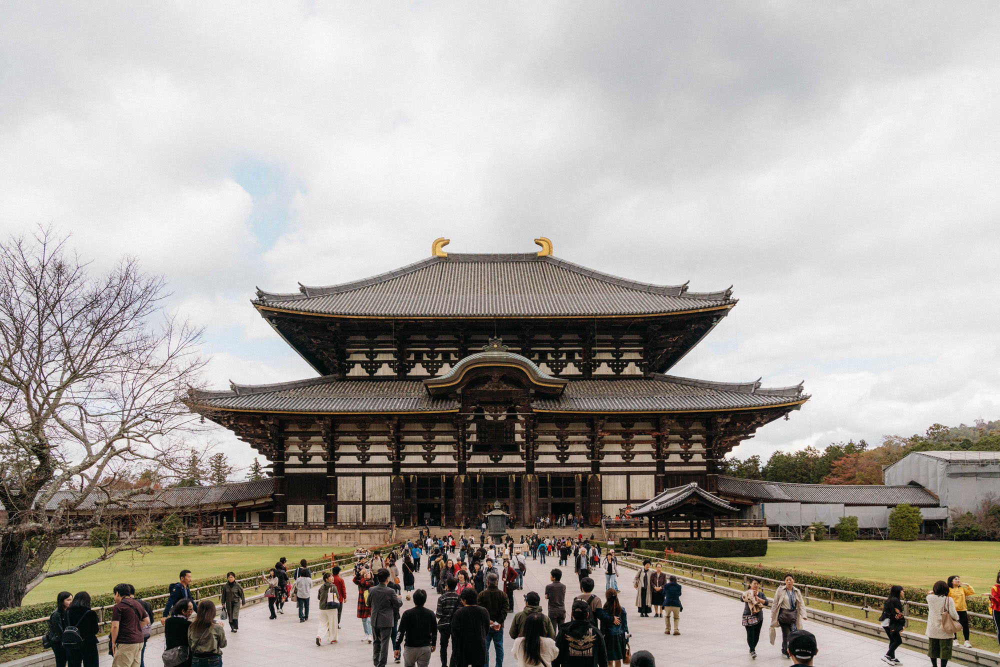 托代吉寺日本最着名和历史上大量的寺庙和奈良的标志性。也有在伟大的佛大大厅里面。