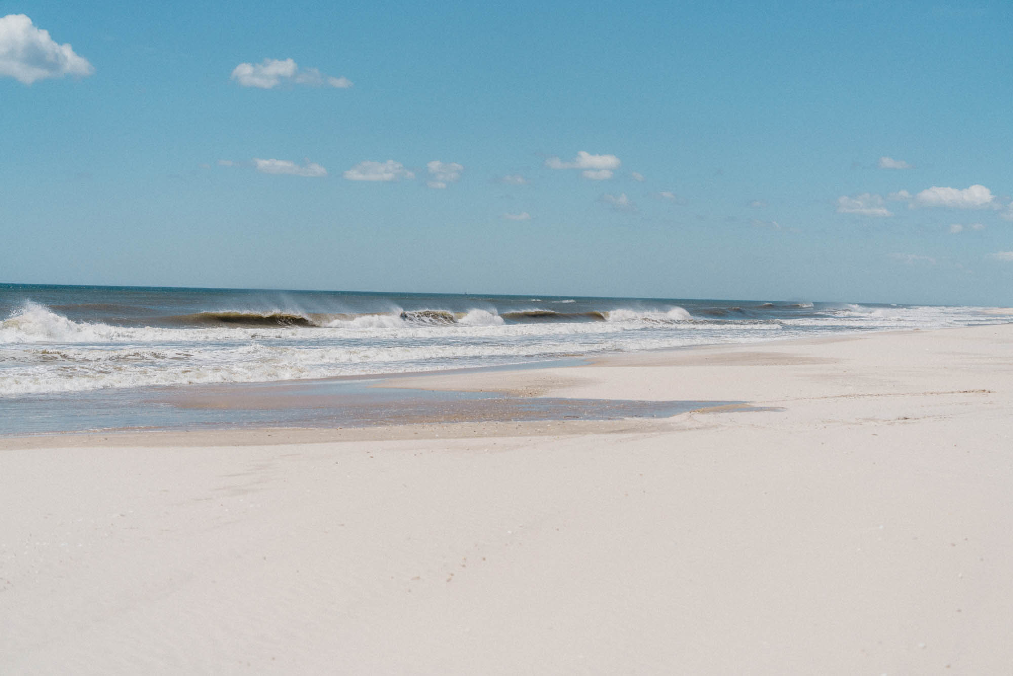 _dsc6428.jpg.