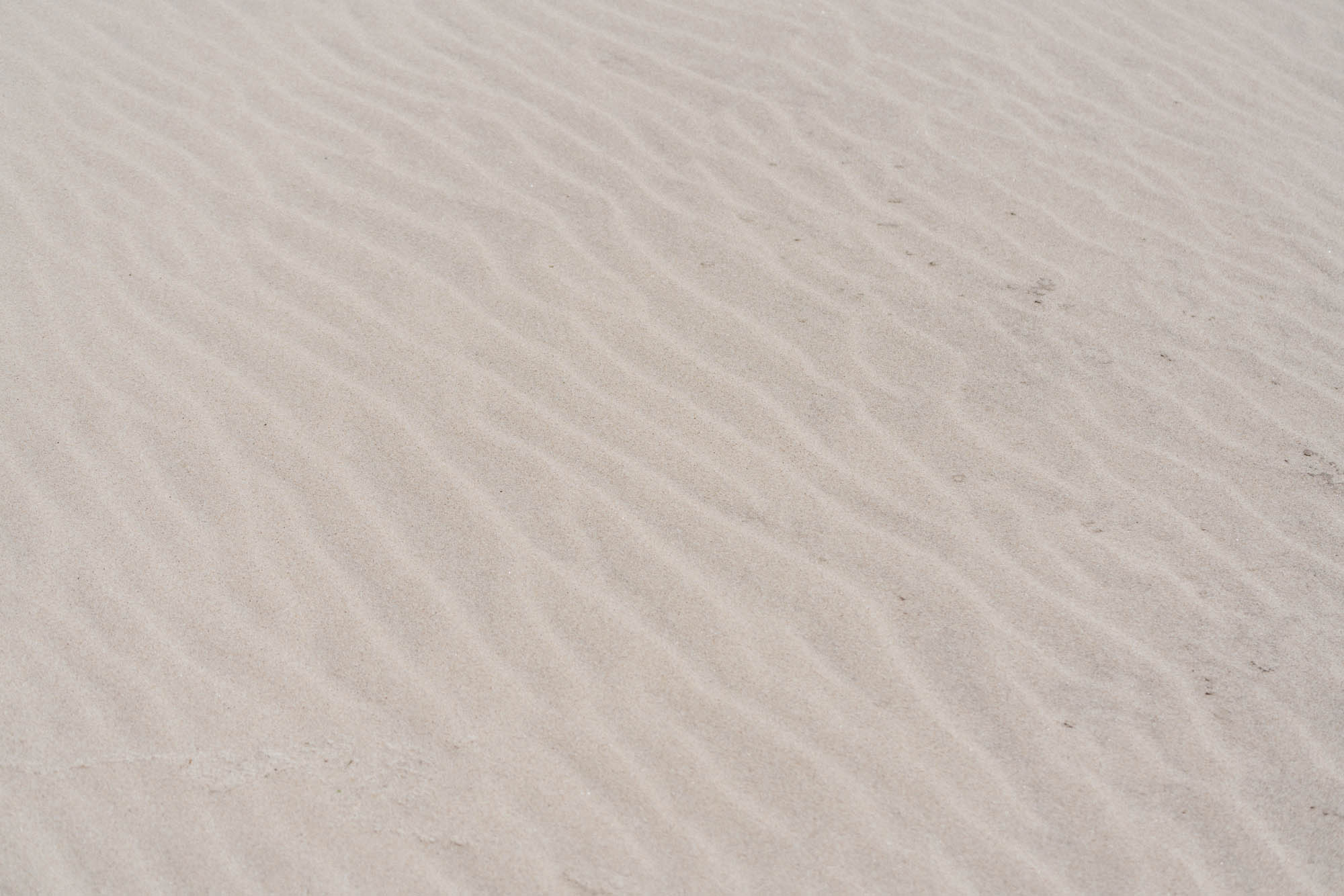 _dsc6620.jpg.