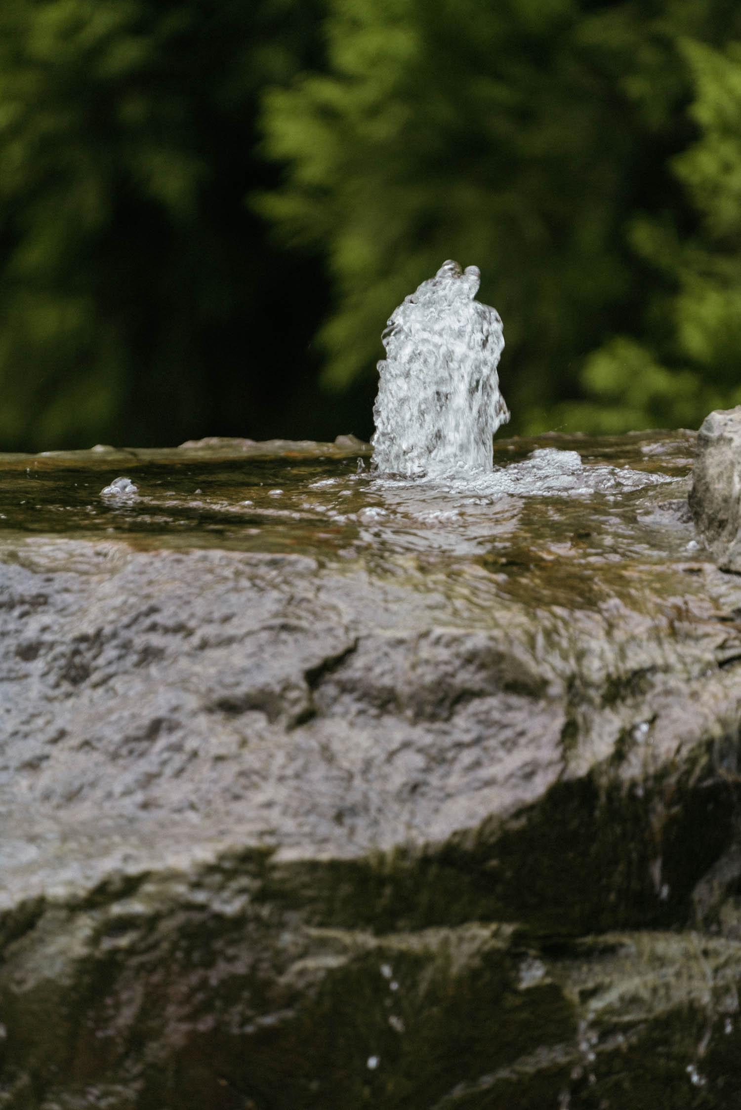 _dsc7292.jpg.