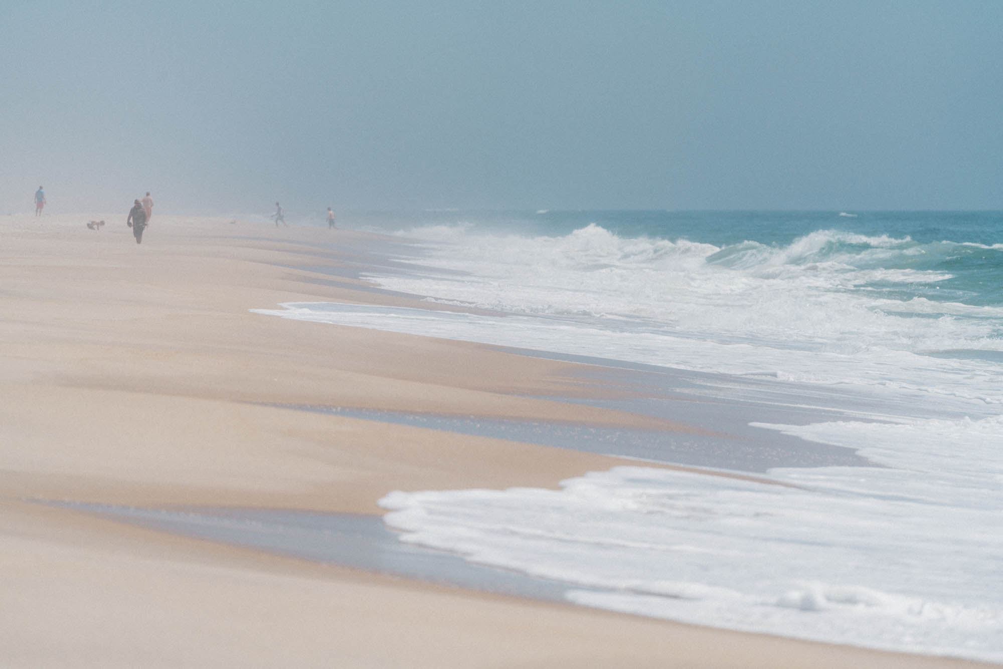 _dsc8553.jpg.