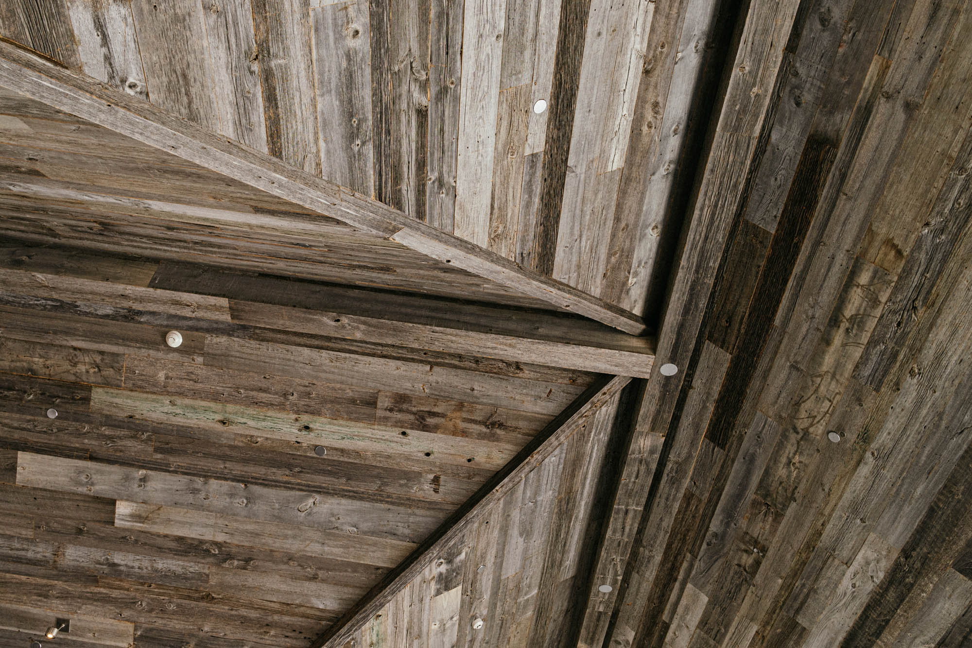 _dsc8845.jpg.