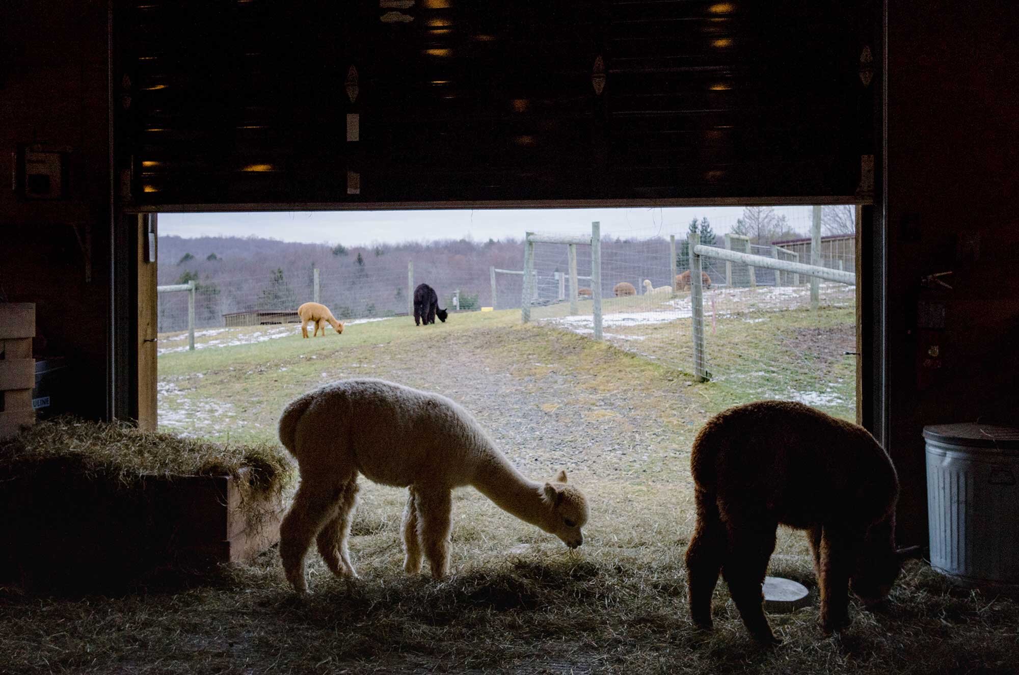 l1322672.jpg.