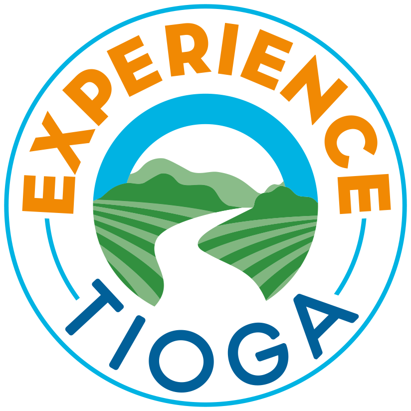 Tioga County Local Development Corporation