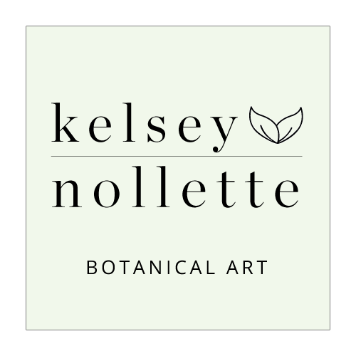 Kelsey Nollette Botanical Art