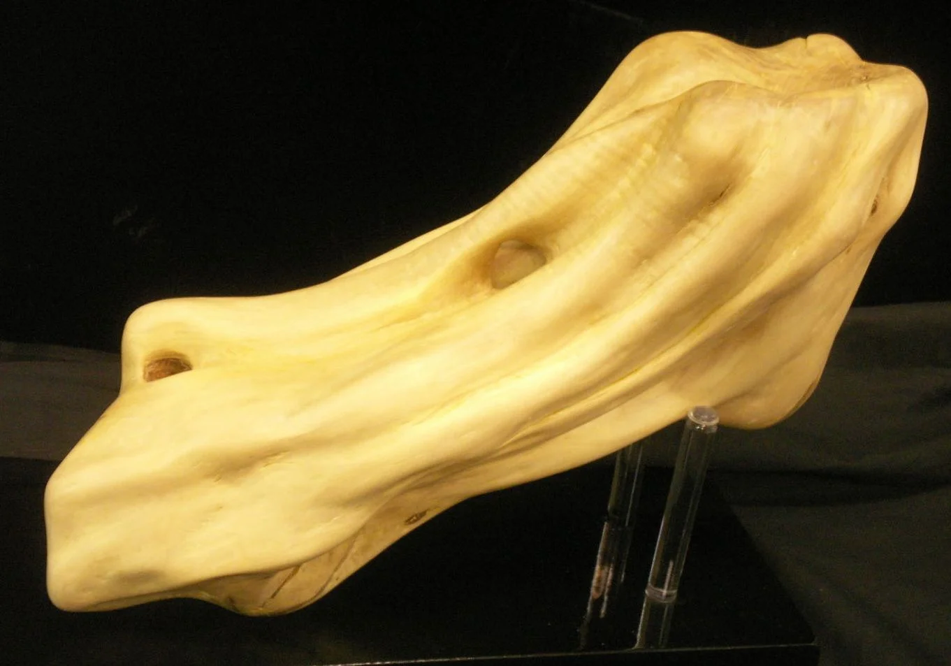 Robyn Olive Wood Abstract.jpg