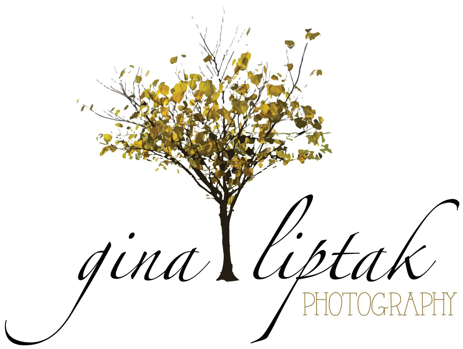Gina Liptak Photography