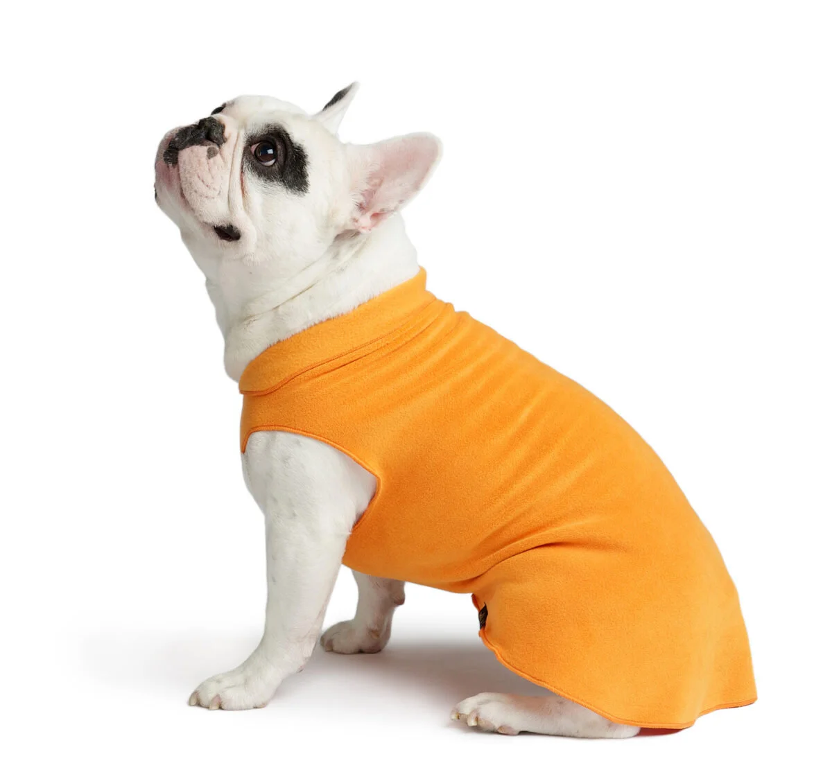 goldpaw fleece for dogs
