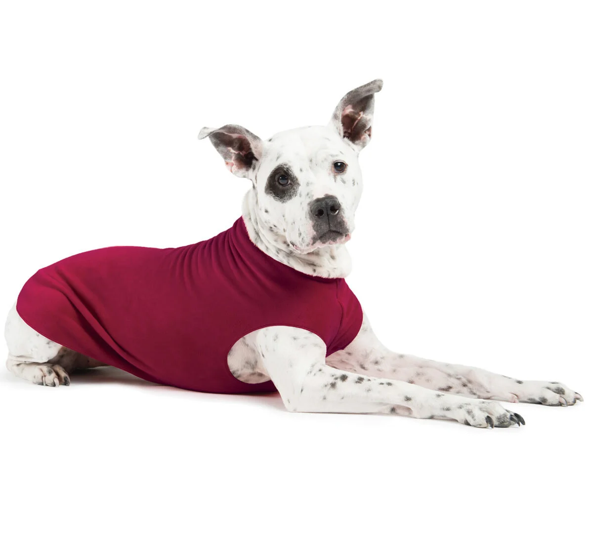 Goldpaw fleece top