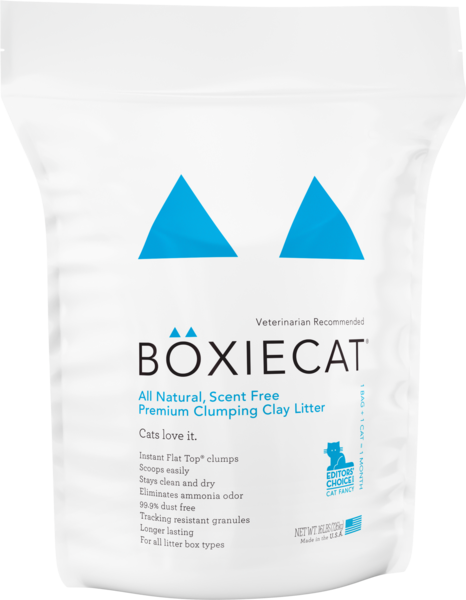 Clay free cat litter online