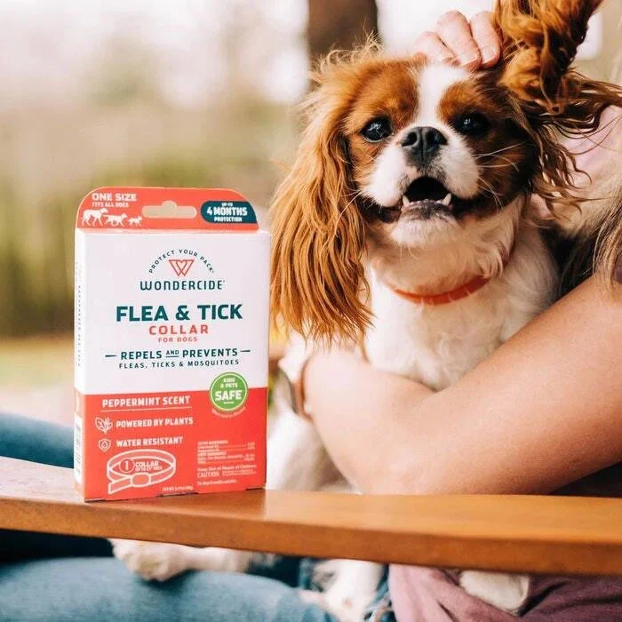 petsmart flea and tick for dogs