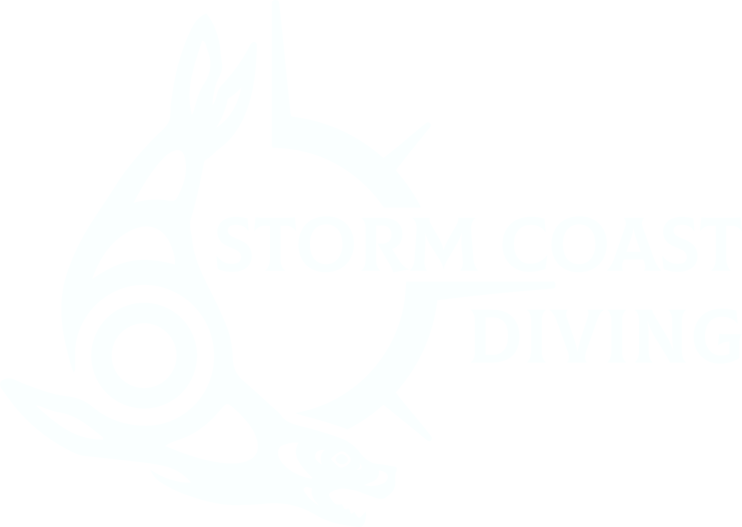 Storm Coast Diving