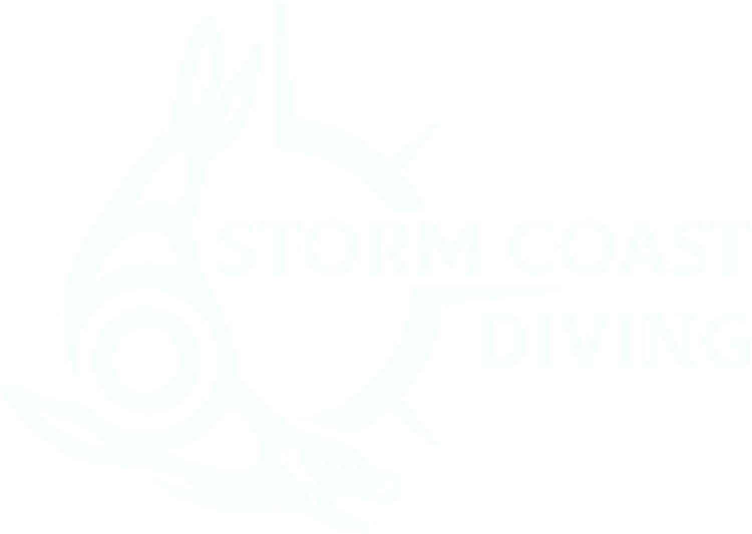 Storm Coast Diving