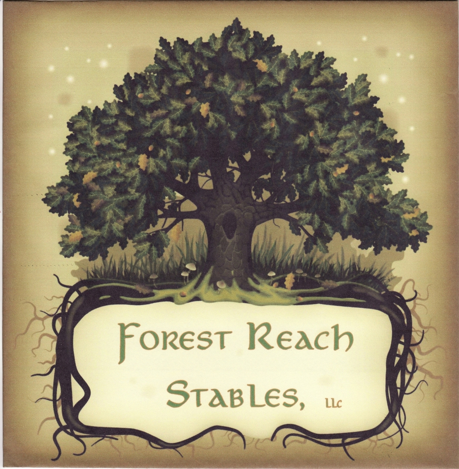 Forest Reach Stables, LLC