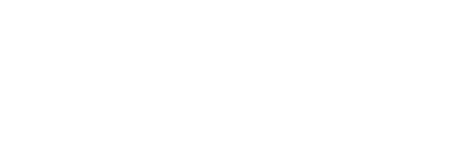 Chiro Connect