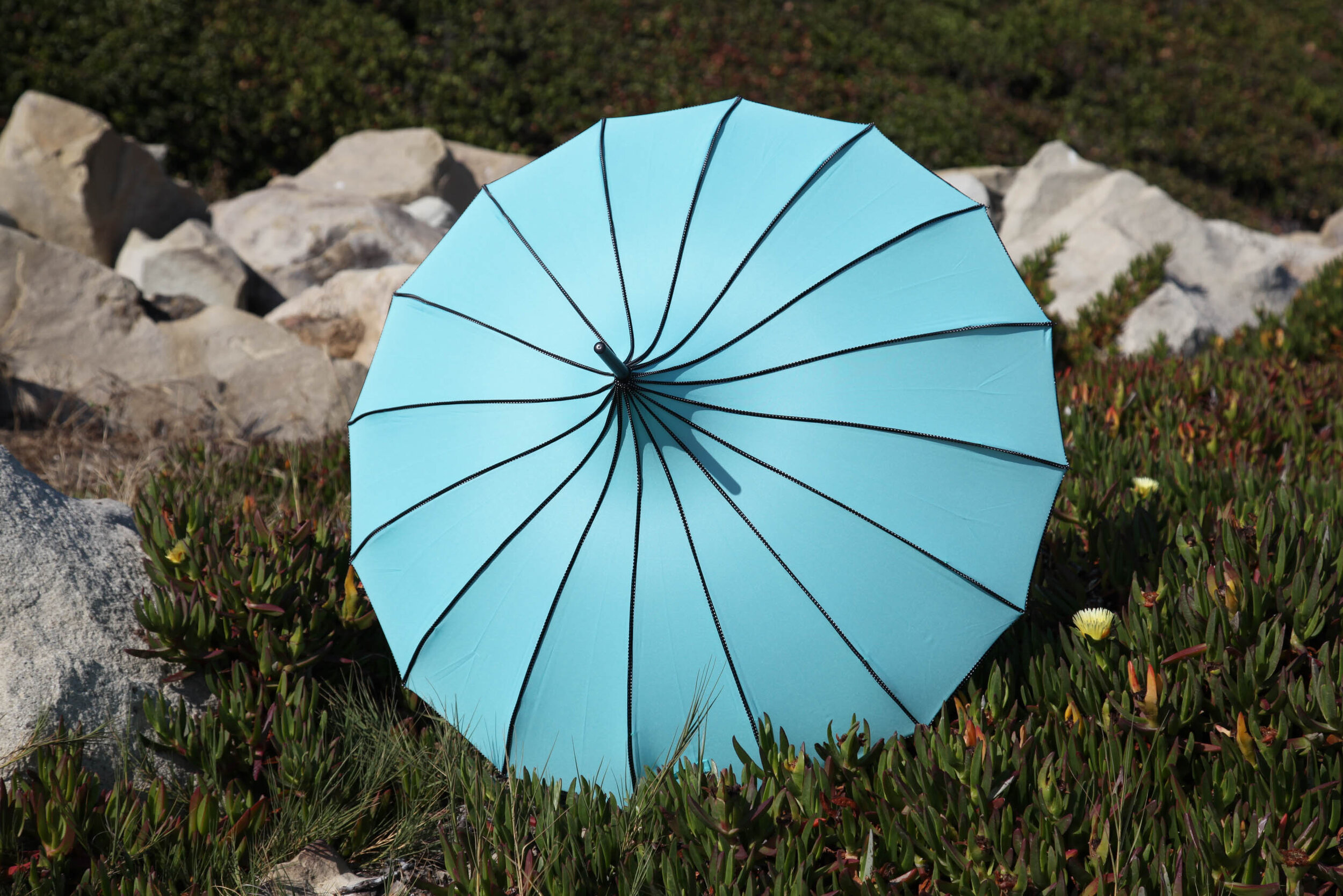 Pagoda Parasol in Paradise