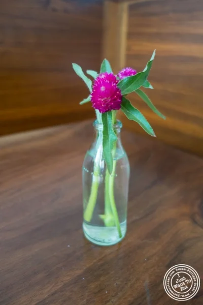 花在 van Leeuwen冰淇淋店在纽约,纽约