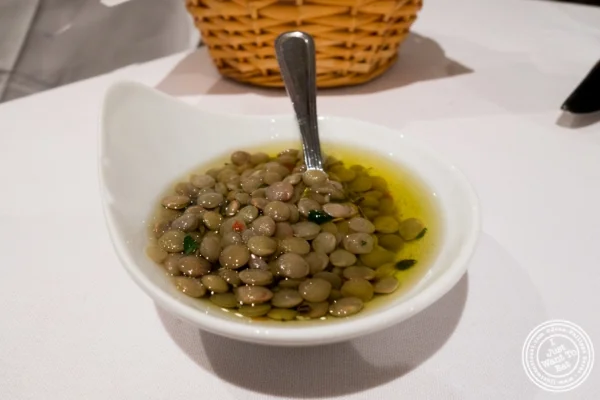 扁豆和橄榄油在 