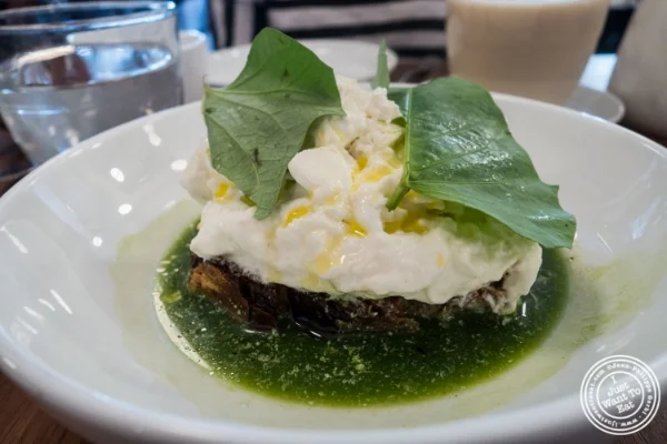 Burrata与Salsa Verde at Estela在纽约,纽约