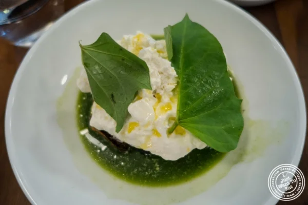 Burrata与Salsa Verde at Estela在纽约,纽约