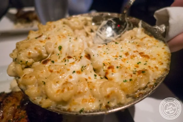 Gorgonzola Mac和奶酪 at  Mastro的中国体育网直播馆在纽约,纽约 