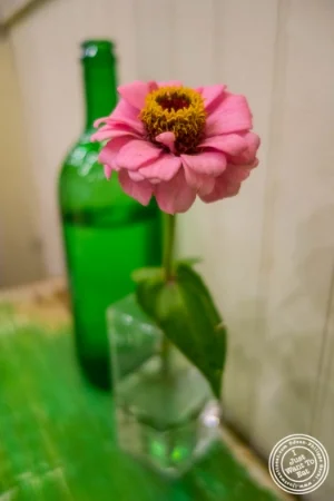 表在 绿表,纽约切尔西市场,纽约