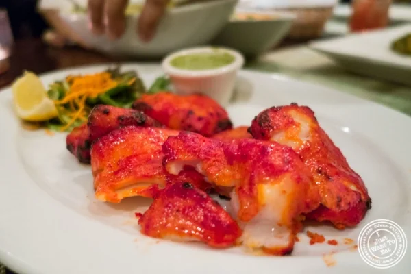 Tandoor鱼Tikka at  East,Nyc,纽约市中心的印度餐厅