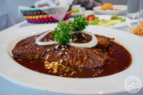 Enchiladas de mole  Sabory,霍博肯的墨西哥餐厅,NJ