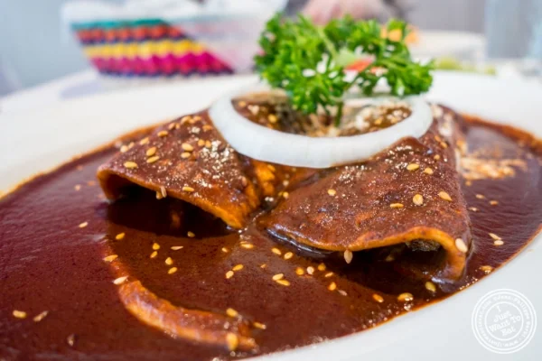 Enchiladas de mole 塞俄拉伯,墨西哥餐厅在霍博肯,新泽西州