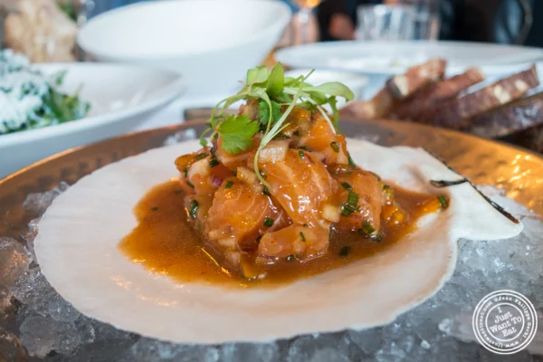 Ceviche de saumon索沃奇 at Bagatelle 在纽约纽约纽约州肉类区