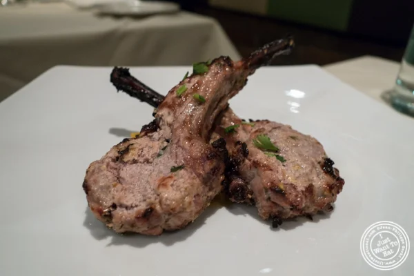 羊肉烤肉串 at Haldi,印度中国体育网直播在咖喱山,纽约,纽约