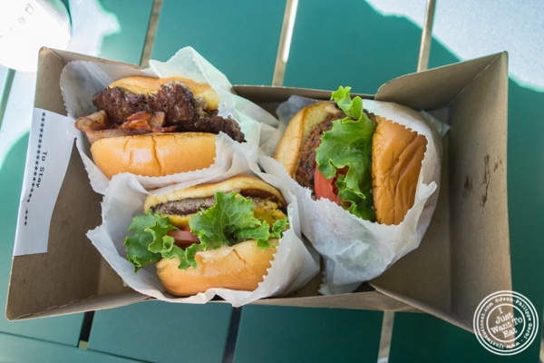 汉堡 纽约纽约麦迪逊广场公园的Shake Shack