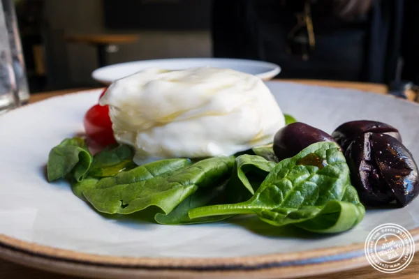 Burrata at Obica,纽约市的义大利料理餐厅,纽约