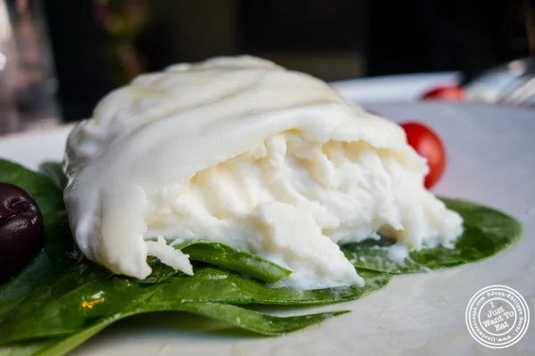 Burrata at Obica,纽约市的义大利料理餐厅,纽约