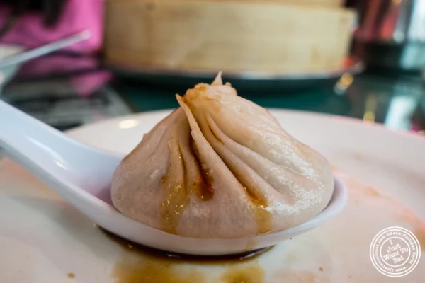 汤饺子 at 乔在唐人街,纽约,纽约州的姜