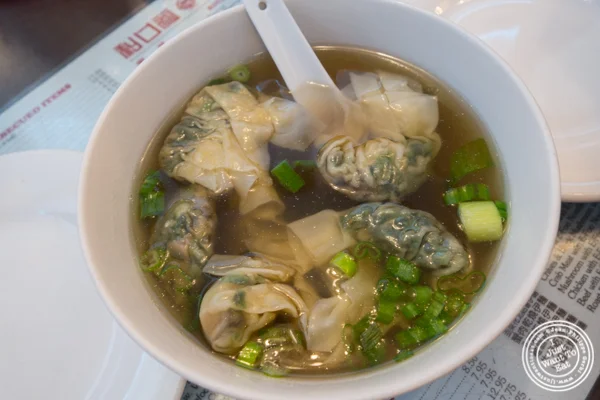 蔬菜饺子汤 唐人街拥有的伟大纽约诺德莱特