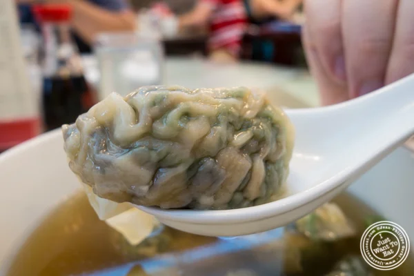 蔬菜饺子汤 唐人街拥有的伟大纽约诺德莱特