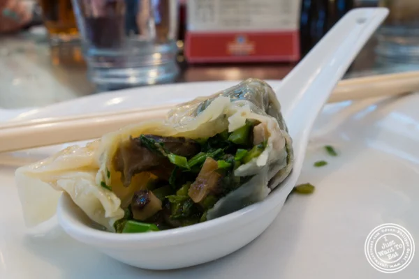 蔬菜饺子汤 唐人街拥有的伟大纽约诺德莱特