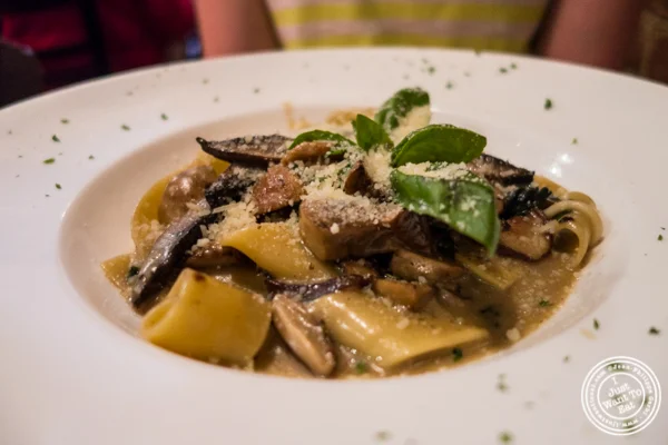 Parpadelle at.. Cara Mia,意大利餐厅在地狱's Kitchen