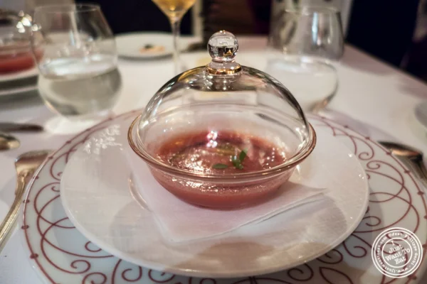 冷藏番茄库里斯  Bouley在Tribeca,纽约,纽约