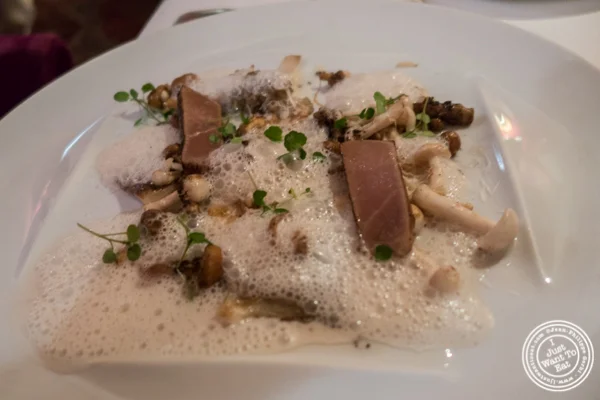 狂欢的野生蘑菇宝藏 at  Bouley在Tribeca,纽约,纽约