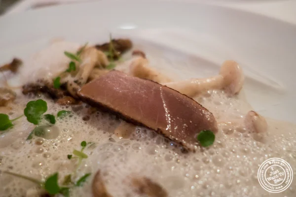 狂欢的野生蘑菇宝藏 at  Bouley在Tribeca,纽约,纽约