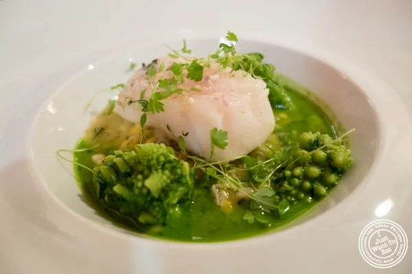   Chatham Day Boat Cod Fish at  Bouley在Tribeca,纽约,纽约