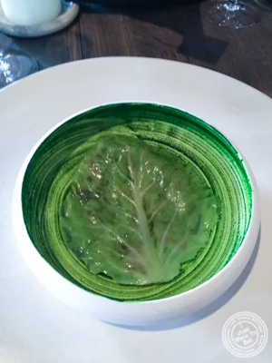 卷心菜叶子和白色醋栗在Noma在哥本哈根,丹麦