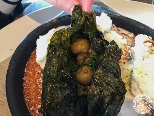 在Noma的新的丹麦土豆在哥本哈根,丹麦