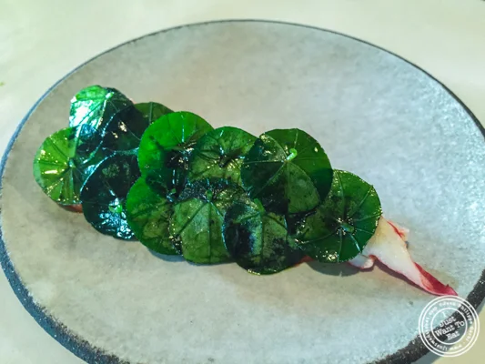 龙虾和nasturtium noma在哥本哈根,丹麦