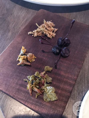 浆果和绿色在诺玛在哥本哈根,丹麦