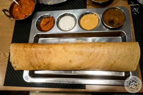 纽约市纽约市印度中国体育网直播Dosai的Dosa